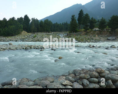 Lidder river, Pahalgam, Kashmir, originating from Kolhoi glacier 5400 m alt,  in Lidderwat region, runs 30 km to reach Pahalgam Stock Photo