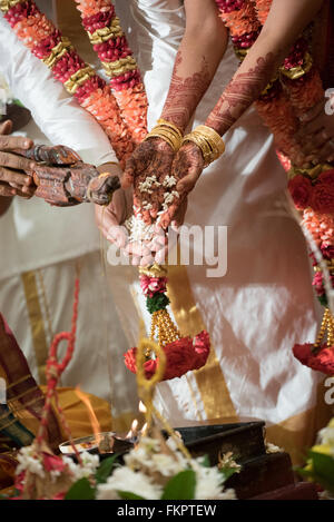 Fire ceremony at Indian Hindu Wedding Ceremony Stock Photo