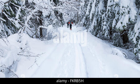 Caucasian couple cross country skiing in snow Stock Photo