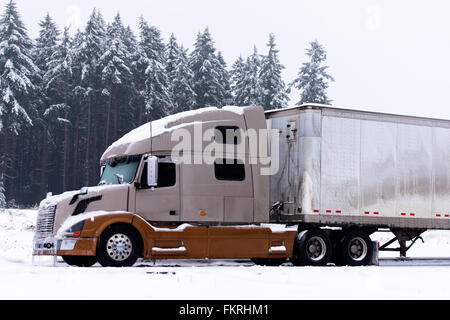 Brown and light brown colors semi truck and white trailer on winter road with snow and ice on winter snowed trees background Stock Photo