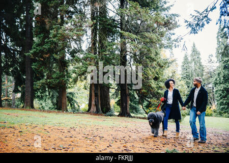 Couple walking dog in park Stock Photo