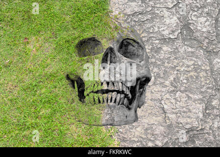 abstract symbol idea, Disparity Soft Hard and life, skull in short grass lawn and seamless rock texture. Disparity of life No.1 Stock Photo