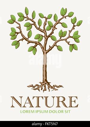 young tree with roots design template Stock Vector