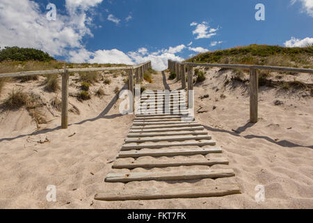 Wooden walkway on beach Stock Photo