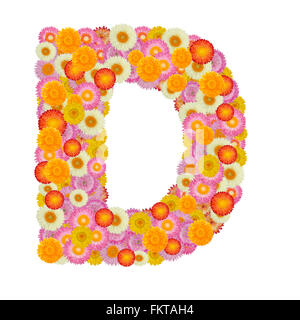 Letter D alphabet with straw flower isolated on white background Stock Photo