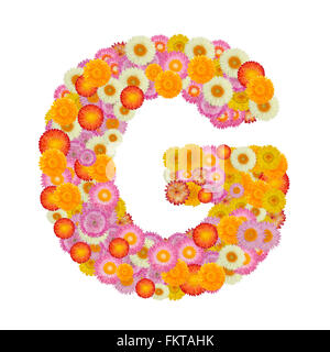 Letter G alphabet with straw flower isolated on white background Stock Photo