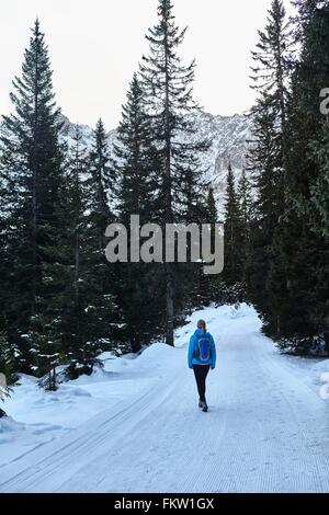 Rear view of young woman hiking along snowy rural road, Austria Stock Photo