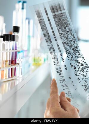 Scientist viewing a DNA sequence gel to understand the genetic information of a human in a laboratory Stock Photo