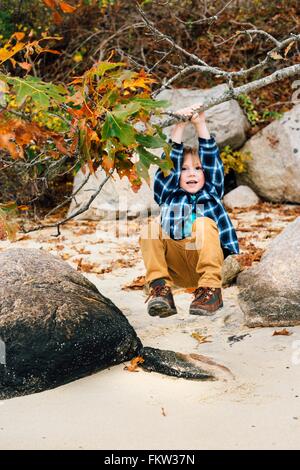 Young boy swinging on tree branch Stock Photo