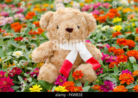 teddy bear in flower garden Stock Photo