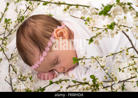 Beautiful baby girl sleeping at blossom plum branches. Studio shot on white. Stock Photo