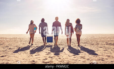 Rear view portrait of group of friends walking on the beach and helping each other while carrying a cooler box. Young people on Stock Photo