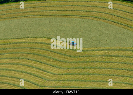 An aerial view of farming in Cornwall Stock Photo
