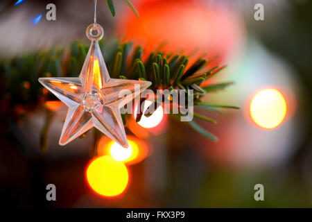 Starlet Christmas decorations hanging in tree Stock Photo