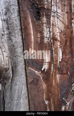 Close-up of a gray brown texture of old wood in vertical format Stock Photo