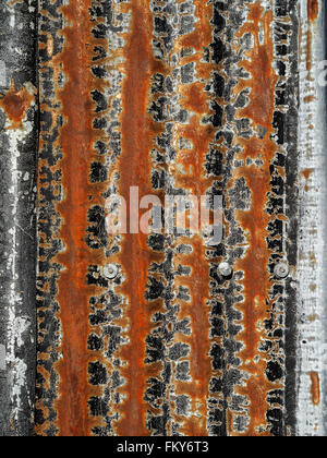 black grey gray and brown pattern created by intricately cracked perished black paint on rusty corrugated tin sheet Stock Photo