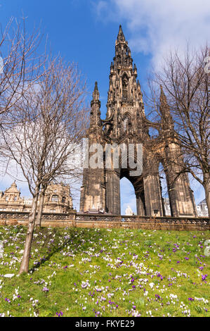 Edinburgh, UK. 10th March 2016 Crocuses out in bright sunshine below the Scott Monument in Princes Street, Edinburgh, Scotland (c) Washington Imaging/Alamy Live News Stock Photo