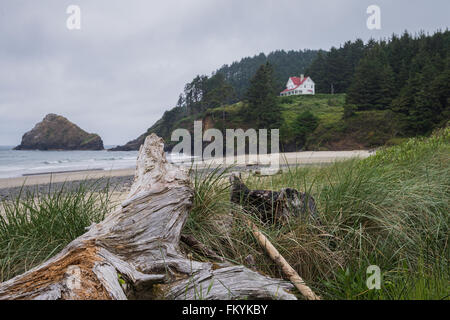 A large chunk of driftwood among coastal grasses makes a perfect foreground at Devil’s Elbow State park near Florence, Oregon Stock Photo