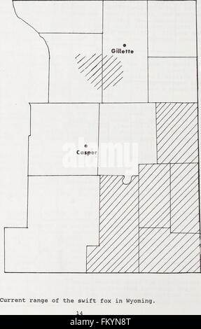 An ecological and taxonomic review of the swift fox (Vulpes velox) with special reference to Montana (1991) Stock Photo