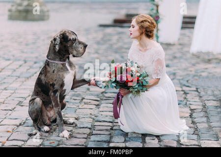 Smart dog gives a pow to the gorgeous blond mistress-bride Stock Photo