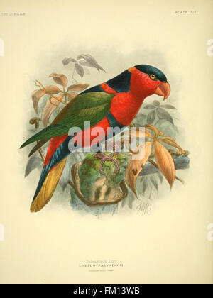 An illustration from Plate XIX showcasing a variety of lilies and ...