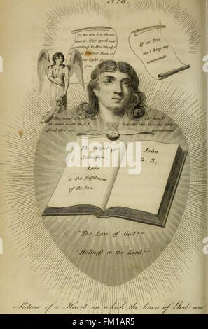 medical illustration of how the human heart works Stock Photo - Alamy