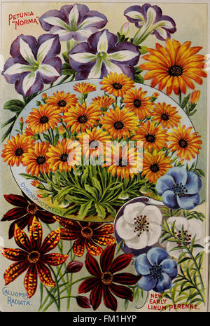 Childs' combination catalogue for 1910 - flower seeds vegetable seeds summer bulbs hardy bulbs and plants house plants shrubs new fruits and dutch or full bulbs (1910)