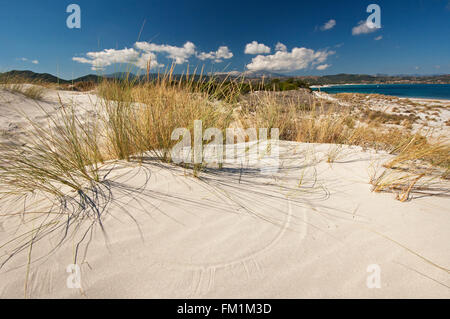 Siniscola,Sardinia,Italy, 10/2012. Sand dunes at Capo Comino beach in a bright and sunny day Stock Photo