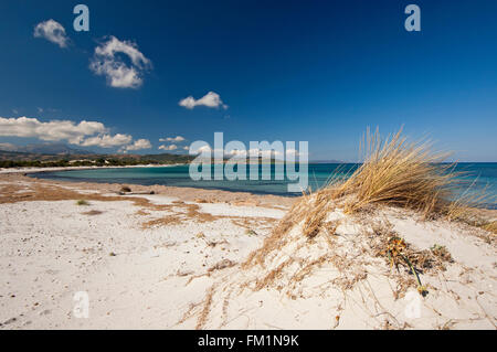 Siniscola,Sardinia,Italy, 10/2012. Sand dunes at Capo Comino beach in a bright and sunny day Stock Photo