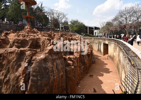 Kunming, Kunming, CHN. 10th Mar, 2016. A monkey King broke out of prison with 8 monkeys through 4-meter-wide canal. Their keepers stay nearby to keep an eye on them and try to explore a new open feeding style. Credit:  SIPA Asia/ZUMA Wire/Alamy Live News Stock Photo