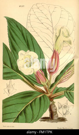 A key botanical resource, this periodical features detailed ...