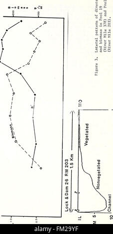 Ecological structure and function of major rivers in Illinois -  Large River LTER  (1984) Stock Photo