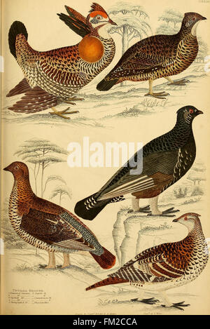 Edinburgh journal of natural history and of the physical sciences (1835) Stock Photo