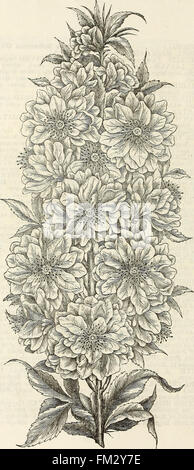 Ellwanger and Barry's descriptive catalogue of hardy ornamental trees and shrubs, roses, etc., etc., etc (1868)