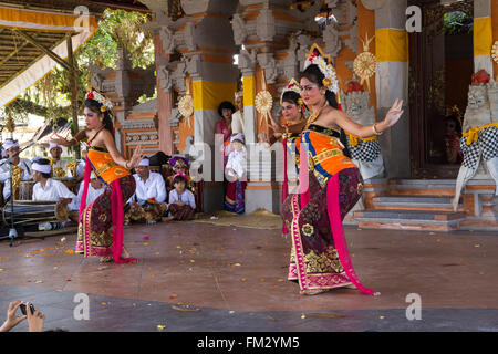 Indonesia, Bali, Girls Dressed in Traditional Dancing Costume, Legong Dancers with Frangipani floral headdress. Stock Photo