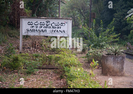 Trilingual sign on the station platform at Sarasavi Uyana, outside Kandy, Sri Lanka Stock Photo