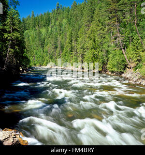 rapids on the yaak river in kootenai national forest near troy, montana Stock Photo