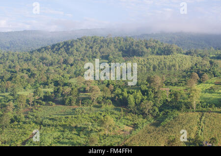 Tropical Mountain Range,This place is in the Phurua national park,Thailand Stock Photo