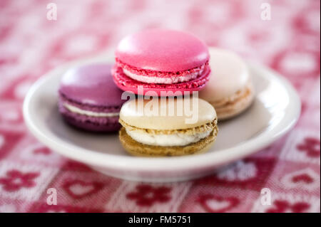 Plate of colorful macaroons made with egg-white, almonds and filled with butter cream Stock Photo