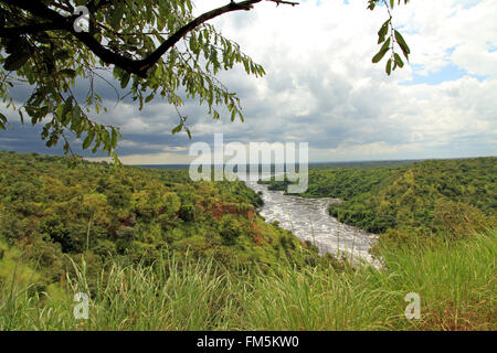 A dark cloudy storm comes in over the lushness of Murchison Falls National Park Stock Photo
