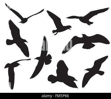 Seagull Set Silhouettes on the white background Stock Vector