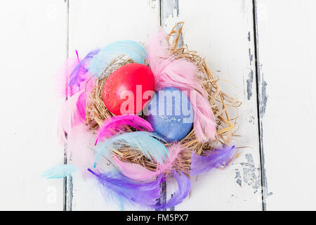 red and blue eggs in a bird nest and  feathers on white wooden vintage background Stock Photo