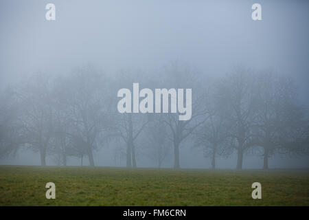 London, UK 11 March 2016. UK Weather: Finsbury Park in North London is blanketed by dense fog on a cold frosty morning Credit:  Dinendra Haria/Alamy Live News Stock Photo