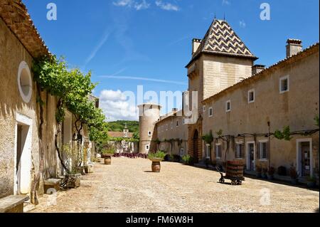 France, Gard, Saint Paulet de Caisson, Chartreuse de Valbonne (13th century) Historical Monument Stock Photo