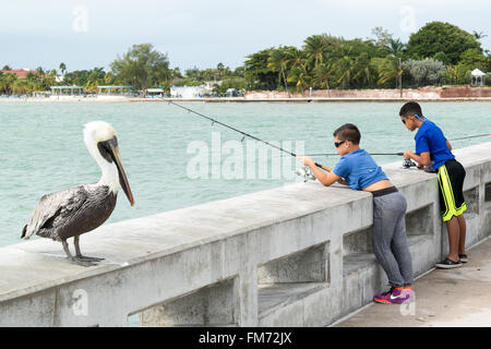 Two boys fishing and brown pelican on White Street Fishing Pier in Key West, Florida Keys, USA Stock Photo