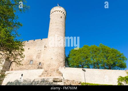 Estonia (Baltic States), Tallinn, Old Town, listed as World Heritage by UNESCO, The Pikk Hermann Tower, part of the Toompea Castle Stock Photo