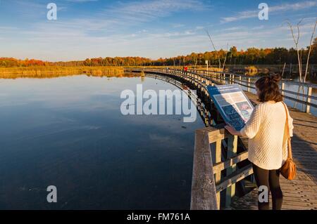 Canada, Quebec province, Montreal, Bizard Island, the Nature Park Bois ...