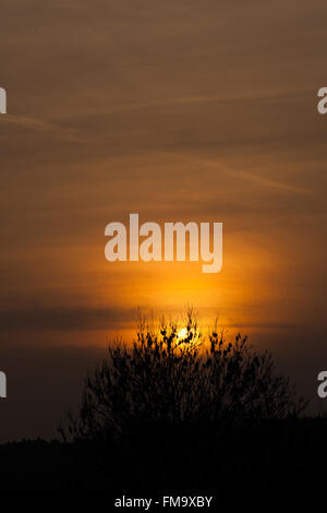 London, UK. 11th March, 2016. UK Weather: Warm orange sunset over North London Credit:  Dinendra Haria/Alamy Live News Stock Photo