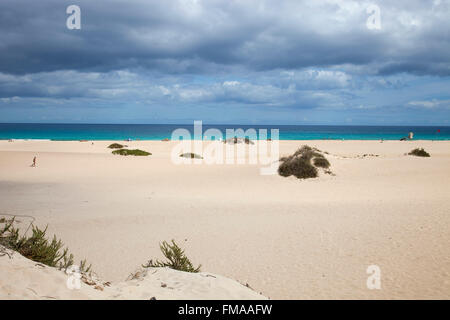 beach, Parque Natural de Corralejo, Fuerteventura island, Canary archipelago, Spain, Europe Stock Photo