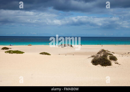 beach, Parque Natural de Corralejo, Fuerteventura island, Canary archipelago, Spain, Europe Stock Photo